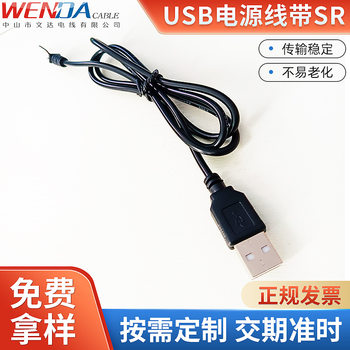 Wenda Wire Manufacturer Sells Led Plant Cabinet Lights USB Cable External Power Cord with Tail Card USB Male Cable