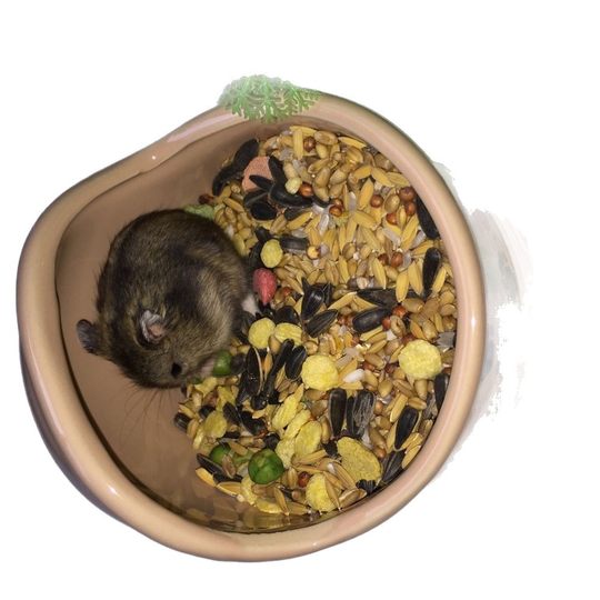 150g Hamster Food Small Package Golden Rat Hamster Feed Fruit, Vegetable and Grain Self-Prepared Hamster Food