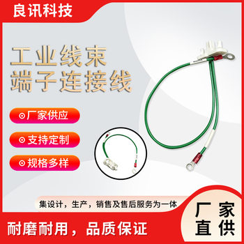 Industrial Wiring Harness Terminal Connection Line Machine Internal Line Teflon High Temperature Charging Control Line Waterproof Wiring Harness Processing and Customization