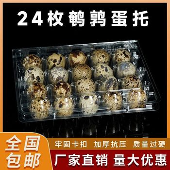 24 Quail Egg Holders Quail Egg Packaging Box pvc Transparent Blister Disposable Gift Box PET in stock Partridge Egg Holders