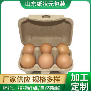 Paper Pulp Egg Trays 6 Pieces 12 Pieces Biodegradable Egg Trays 10 Pieces Egg Carton Wholesale Material Portable Environmentally Friendly Biodegradable