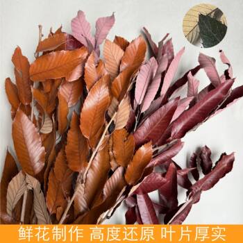 Chestnut Leaves, Immortalized Flowers, Leaves, Materials, Dried Flowers, Bouquets, Wedding Decorations, Green Plants, Simulated Plant Leaves, Manufacturers Wholesale