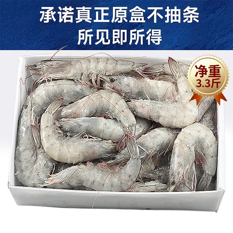 Ecuadorian White Shrimp, Large Shrimp, Fresh, Quick-Frozen, Salt-Frozen, 2030 South American White Shrimp, Prawns, Sea Shrimp, Prawns, Seafood