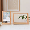 Beech trapezoidal photo frame wholesale solid wood photo frame desktop decoration photo decoration bedside table desk photo frame
