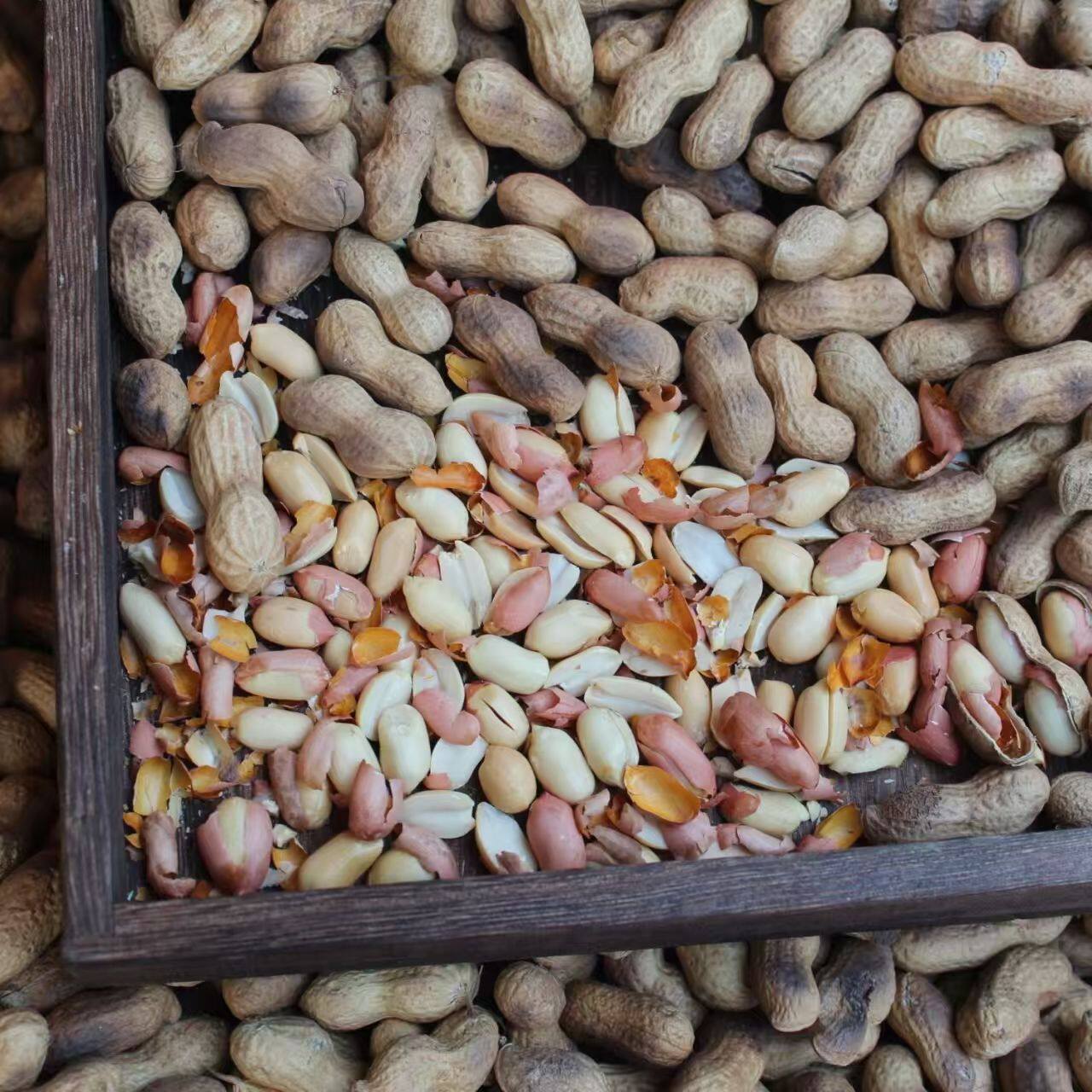 Wholesale of New Farm-Grown Roasted Peanuts, Iron Pan Shelled Original Roasted Peanuts, Nut Snacks, and New Year Goods