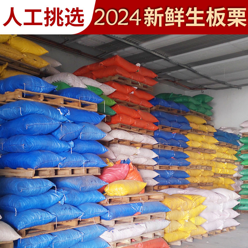 2025 Qianxi Roasted Chestnuts, Used by Stores, Fast Logistics, Wholesale Fresh Oil Chestnuts All Year Round, 24.5kg Per Pack