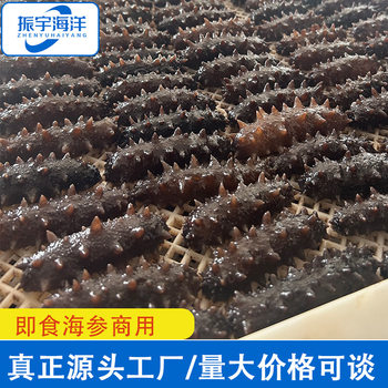 Factory Wholesale Shandong Sea Cucumber Fresh Sea Cucumber Sea Cucumber Ready-To-Eat Sea Cucumber Hotel Ingredients Commercial
