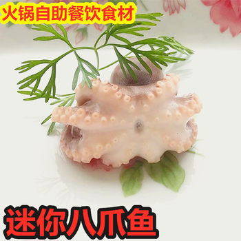 Fresh Seafood Mini Octopus Sea-Caught Cooked Frozen Octopus Octopus Squid Hot Pot Ingredients Aquatic Products Wholesale