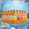 Sunquick New Juice Concentrate 2.5L Grapefruit Orange Juice Lemon Mango Blackcurrant Drink Juice puree