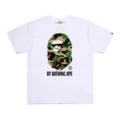 D170 white green