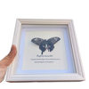 New Real Glass Hollow 2.2 Butterfly Specimen Photo Frame Creative Tabletop Decorative Picture Frame European Simple Style Ornament
