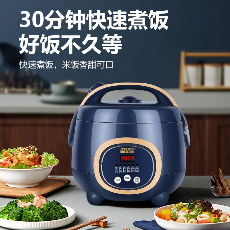 Electric rice cooker household 2-4 people factory wholesale small mini intelligent multi-functional porridge electric rice cooker a generation of hair