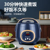 Electric rice cooker household 2-4 people factory wholesale small mini intelligent multi-functional porridge electric rice cooker a generation of hair
