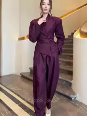 2025 Autumn New Foreign Trade Style European and American Amazon Purple Stand Collar Top + Jogger Pants Two-Piece Fashion Set