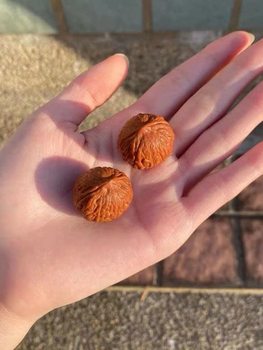 High-quality Matching of Outdoor Raw and Entertainment Small Walnuts, Mini Small Size Hand-twisted Walnuts, Round and Plump, Eight-sided and Thick Ribs