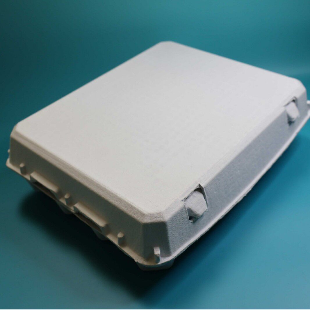 Factory supply 20 pieces pulp egg tray disposable degradable egg box egg tray pulp molding