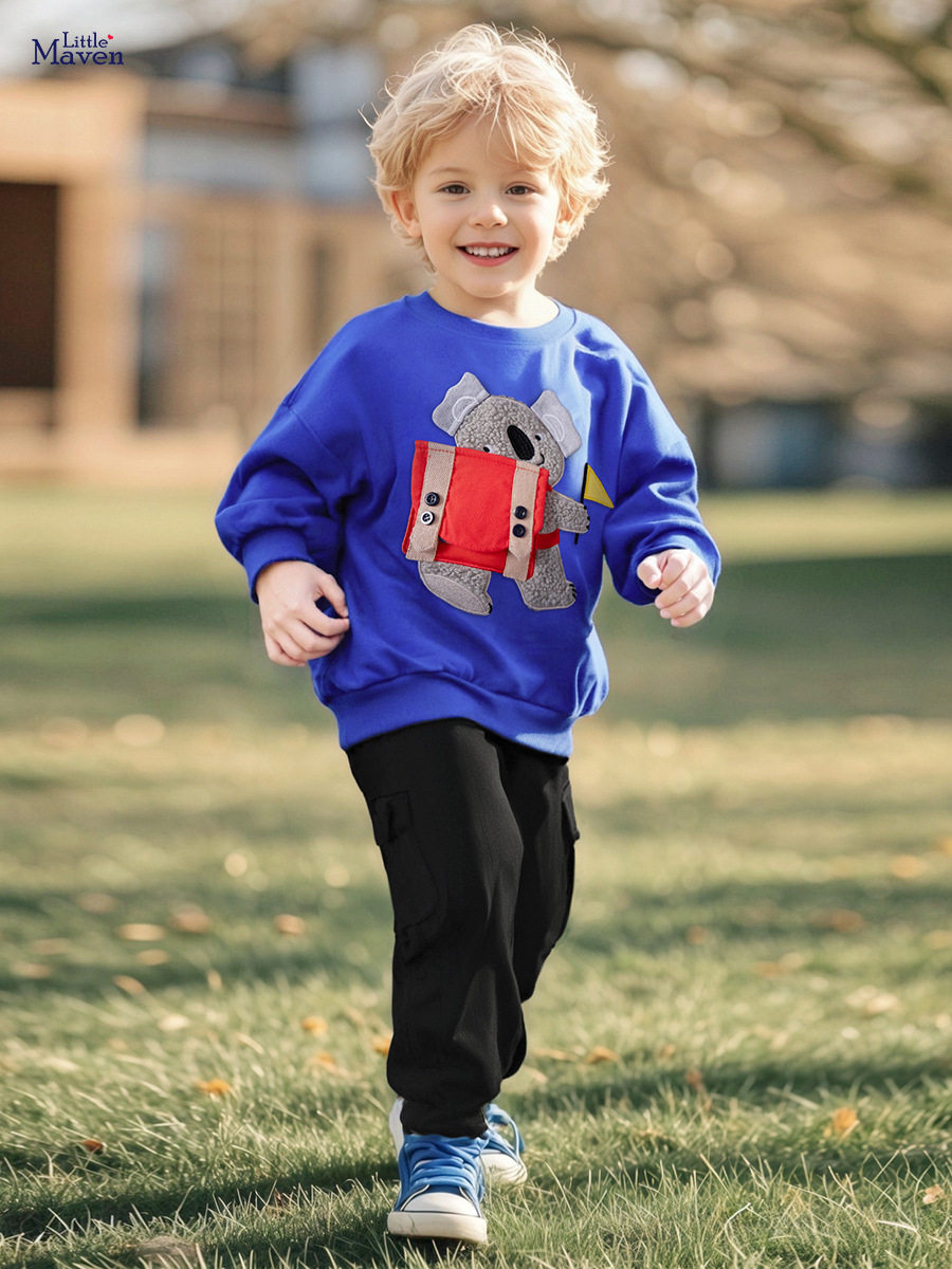 Style Boys' Hoodie Wholesale, Autumn Cartoon Long-Sleeve Kids' Top, Cute Baby Cotton Sweatshirt