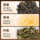 2025 Новый чай Phoenix Single Tea Снежные хлопья Утиное дерьмо Ароматный чай в небольшой упаковке Улун Оптовая продажа Чая в подарочной коробке mini 1