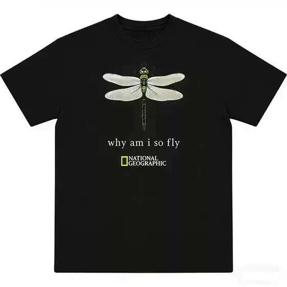 Exclusive for European size pure cotton National Geographic with dragonfly graphic tee