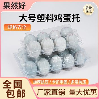 Plastic Egg Tray Large Size 6 Pieces 8 Pieces 15 Pieces Disposable Transparent Earthen Egg Packaging Box Gift Box Wholesale Thickeneded