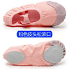 Children's Dance Shoes Girls' Soft Sole Practice Shoes Ballet Shoes Convenient Lace-up Cat Claw Shoes Winter fleece-lined Dance Shoes