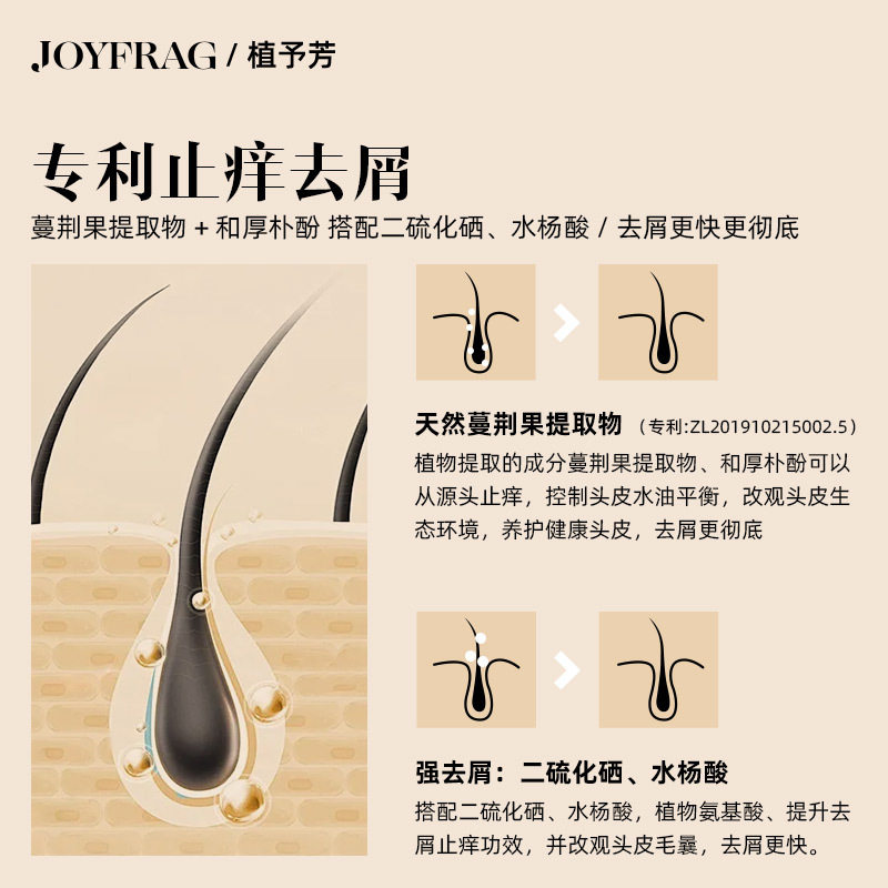 Anti-Dandruff, Anti-Itch, Oil-Control, Fluffy Shampoo, Amino Acid Shampoo, Men's and Women's Essential Oil Fragrance Source Factory