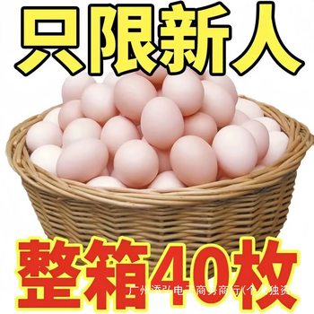 [Damage Guaranteed] Farmhouse Free-Range Eggs, Nutritious and Fresh Cordyceps Confinement Eggs, Farmhouse Free-Range Eggs