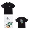 8051 Black