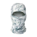 Snow camouflage