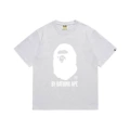 164 gray