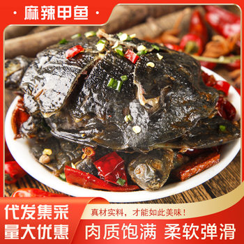 Spicy Small Turtle, Spicy Braised Cooked Fish, Heated and Ready to Eat Whole Turtle, Freshly Made Turtle Wholesale