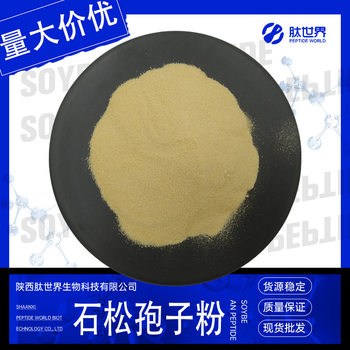98% stone pine spore powder stone pine extract light/heavy broken stone pine powder in stock stone pine spore powder