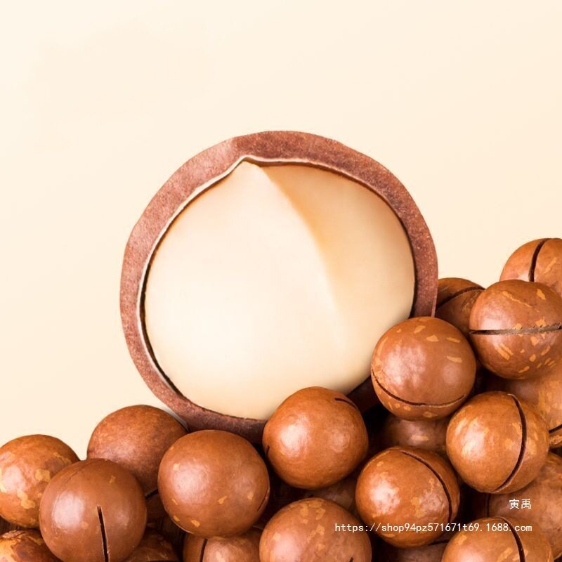 New Arrival Macadamia Nuts Large Particles 1000g Net Weight Cream Nuts Dried Fruits Bulk Specialty Snacks