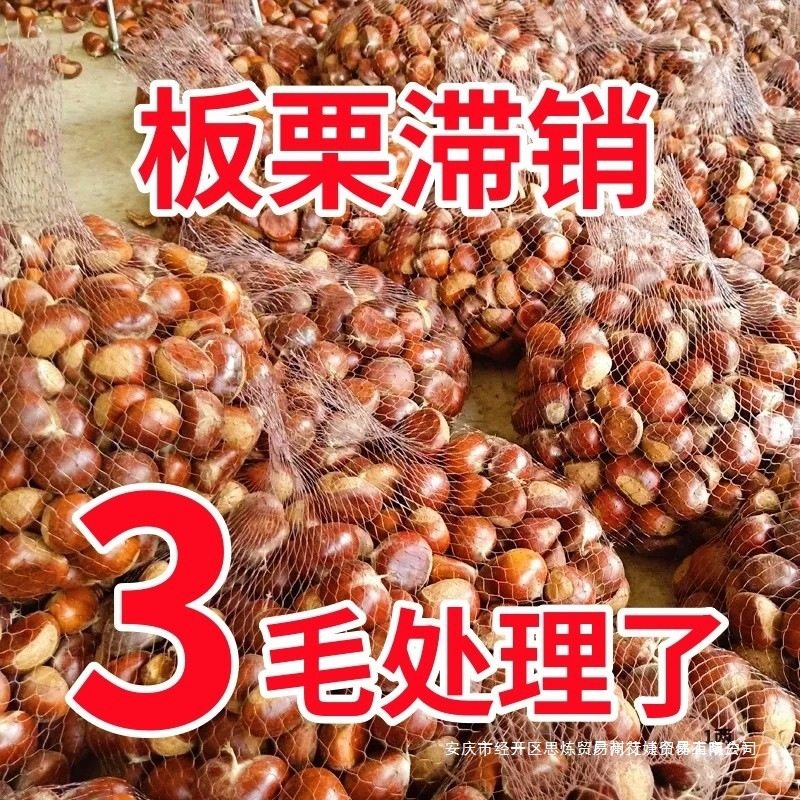 2025 Fresh Dandong Chestnuts 2.5kg Fresh Chestnuts Tender Large Chestnuts Wild Qianxi Chestnuts Oil Cone Chestnuts
