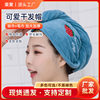 Double-Layer Shower Cap Dry Hair Cap Printed Coral Velvet Cute High-Looking Thickened Soft Absorbent Head Towel Wholesale