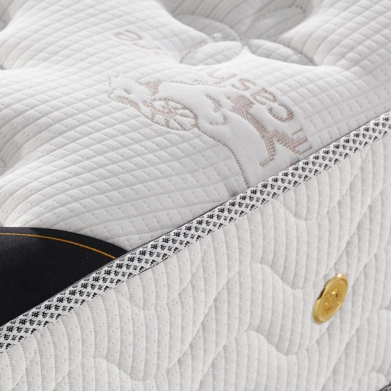 Spring mattress economical soft and hard dual-use cm thick .5m mat .8m Mengsi latex coconut palm home natural