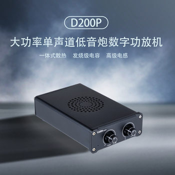 D200P Tpa3221 Mono High Power Subwoofer Hifi Fever Amplifier Digital Audio Amplifier