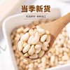 Official New Product from Songzi Ren Songren Flagship Store: Northeast Pine Nuts, Raw and Original Flavor