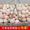 40 Pieces of Farm-Raised Eggs, Authentic Free-Range Fresh Original Ecological Eggs, One Cordyceps Nutrition, Commercial Cordyceps Group Purchase