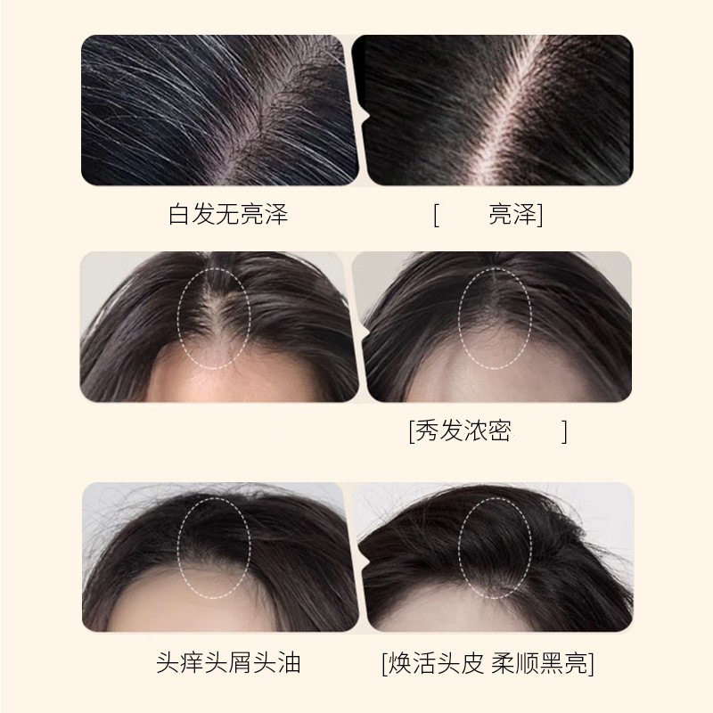 Chongzi Black Ganoderma and Polygonum Multiflorum Shampoo Herbal Black Hair Repair Anti-Hair Loss Nourishing Hair and Scalp