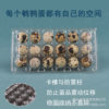 Plastic Quail Egg Tray 18 Pieces Disposable Transparent Quail Egg Packaging Box Wholesale Shock-Proof Multi-Specification Quail Box