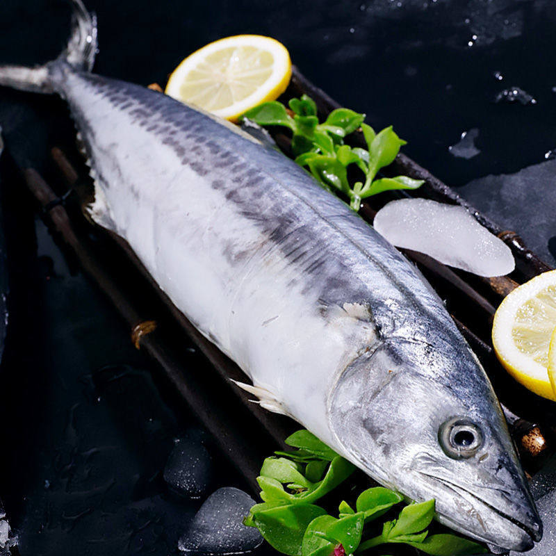 Sf Free Shipping 2.5kg Qingdao Big Spanish Mackerel Fresh Frozen Spanish Mackerel Fresh Seafood Fish Spanish Mackerel Stuffed Salted Spanish Mackerel