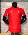 26-27 switzerland home