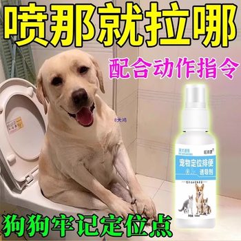 Dog Fixed-Point Toilet Defecation Inducer Dog Toilet Urine Pad Guides Pets to the Toilet