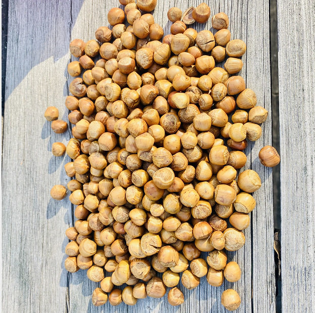 New Arrival Daxinganling Wild Snack Nuts Crispy Cooked Fire Hazelnuts Fried Hand-Patted Water Leakage Original Flavor