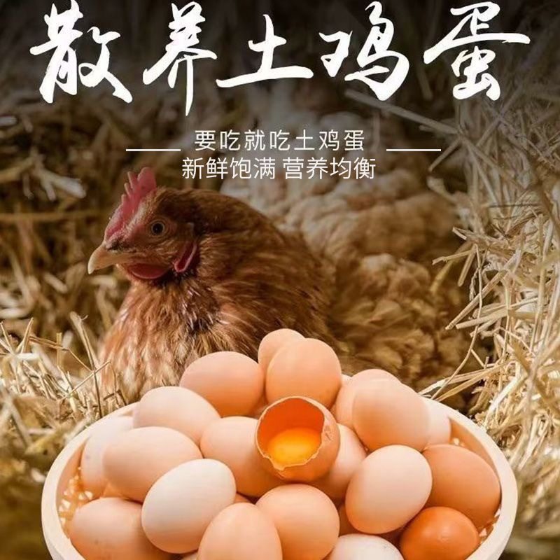 40 Pieces of Farm-Raised Eggs, Authentic Free-Range Fresh Original Ecological Eggs, One Cordyceps Nutrition, Commercial Cordyceps Group Purchase