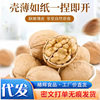 New 2025 Crop 185 Paper-Skinned Walnuts, Original Flavor Nut Snacks, Aksu Walnuts, Easy-To-Crack New Walnuts