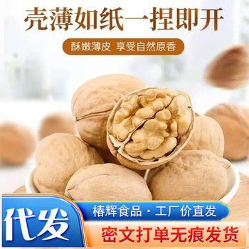 New 2025 Crop 185 Paper-Skinned Walnuts, Original Flavor Nut Snacks, Aksu Walnuts, Easy-To-Crack New Walnuts
