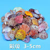 Natural Shell Conch Handmade Kindergarten Ring Creative Toys Fish Tank Landscaping Decoration Materials Free Shipping