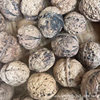 2025 New Yunnan Dried Walnuts Thin-Skinned Yunnan Pecans Wholesale Nuts Pecans for Pregnant Women and the Elderly